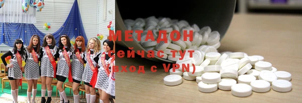 индика Козельск