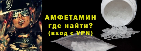 индика Козельск