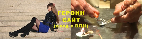 индика Козельск