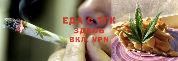 индика Козельск