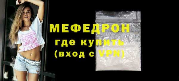 индика Козельск