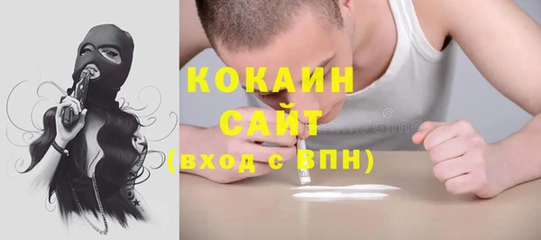 крисы Козловка