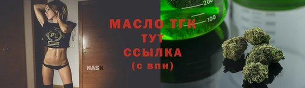 крисы Козловка