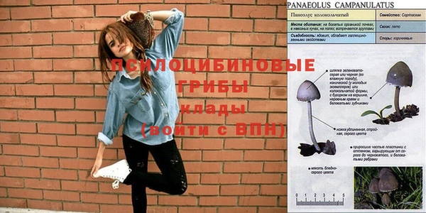 индика Козельск