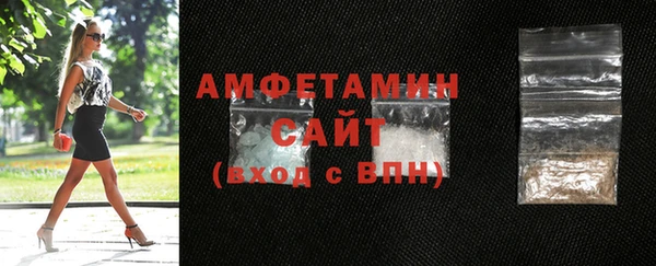 индика Козельск