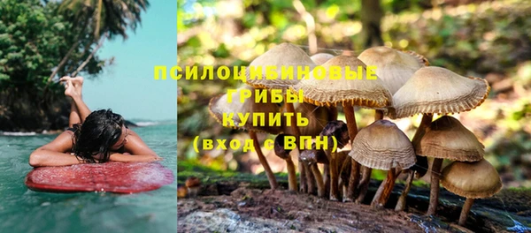 индика Козельск