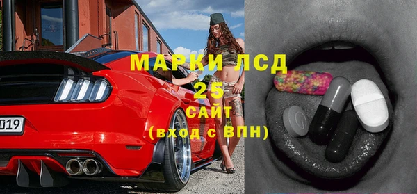 индика Козельск