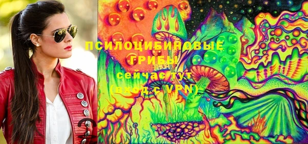 индика Козельск