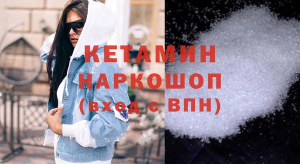 индика Козельск