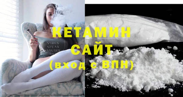 индика Козельск