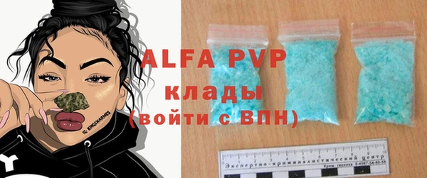 крисы Козловка