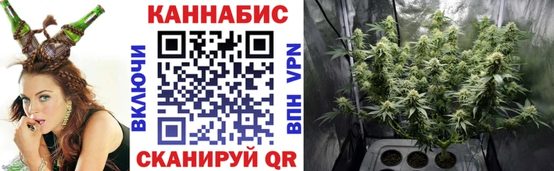 Шишки марихуана SATIVA & INDICA  Купить закладки  Зеленоградск 